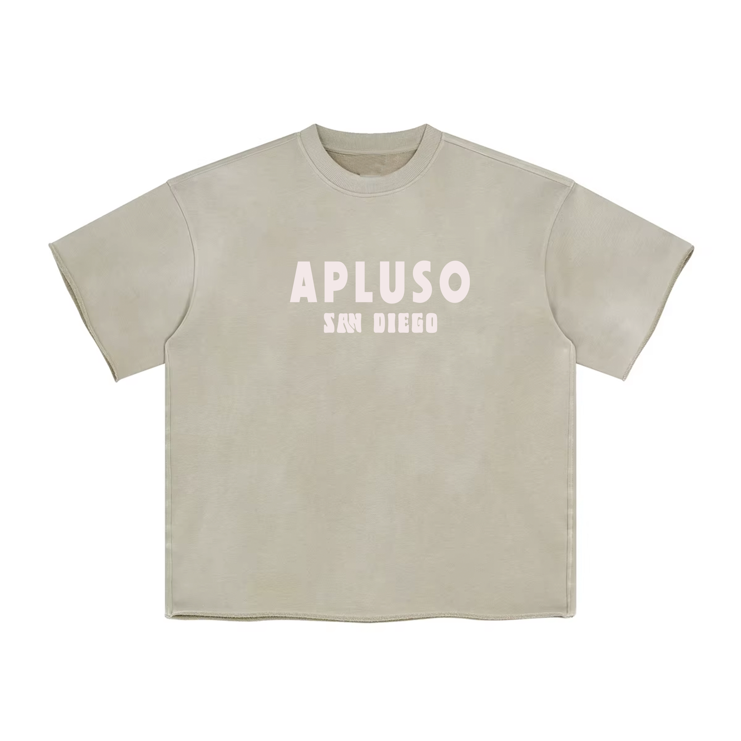 APLUSO SAN DIEGO - FADED HEM BOXY TSHIRT