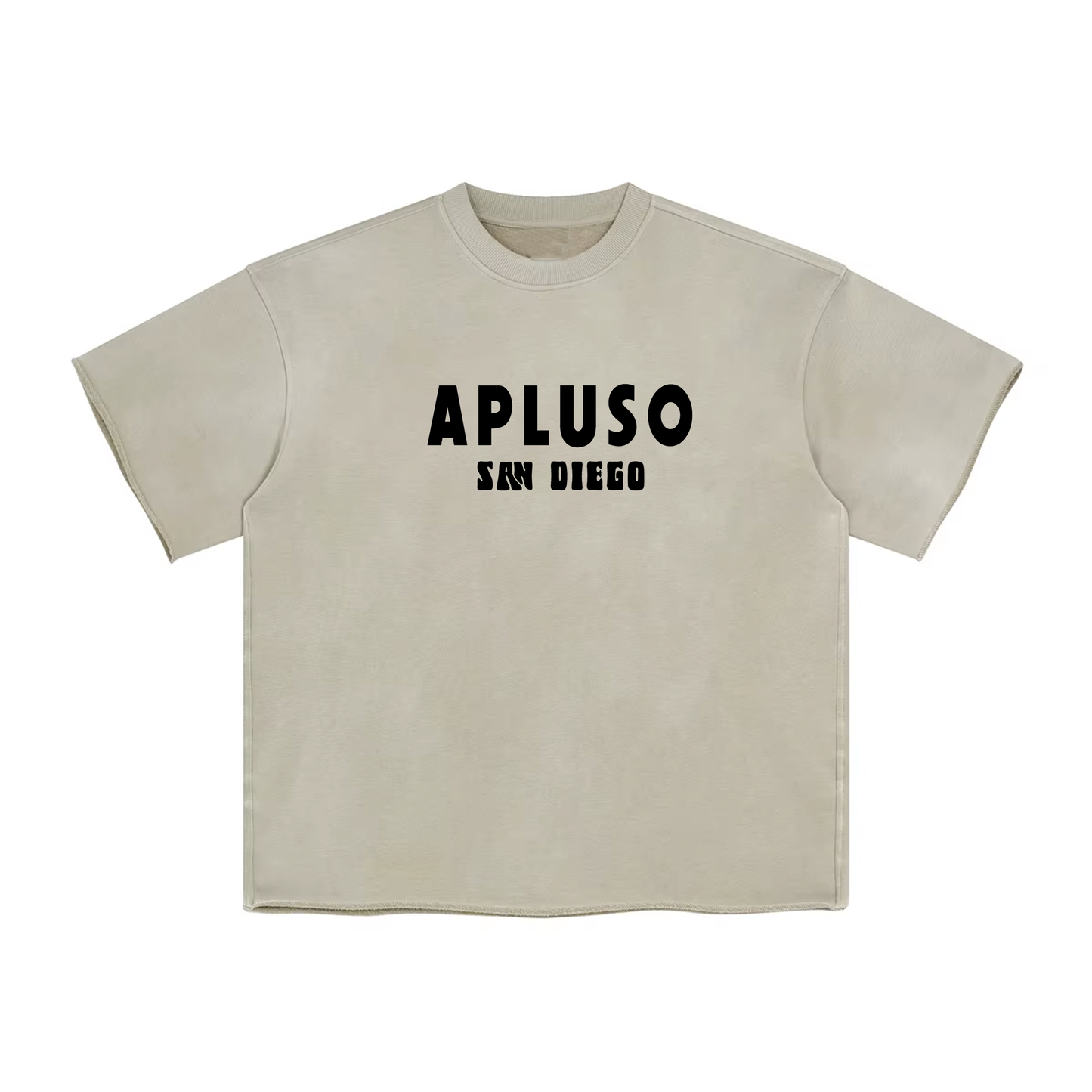 APLUSO SAN DIEGO - FADED HEM BOXY TSHIRT